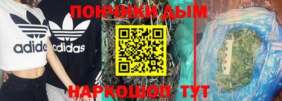 ALPHA PVP Камышлов